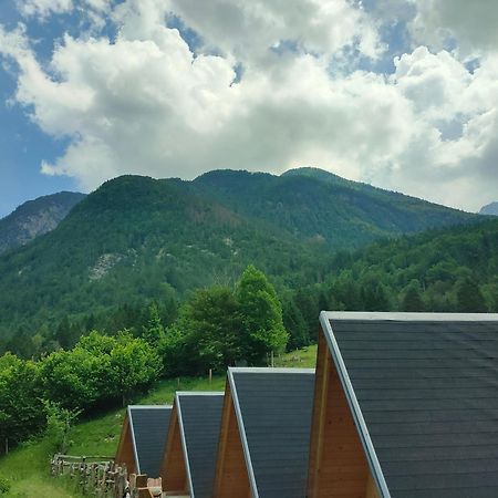 Organic Tourist Farm Pri Plajerju Apartment Trenta Ngoại thất bức ảnh